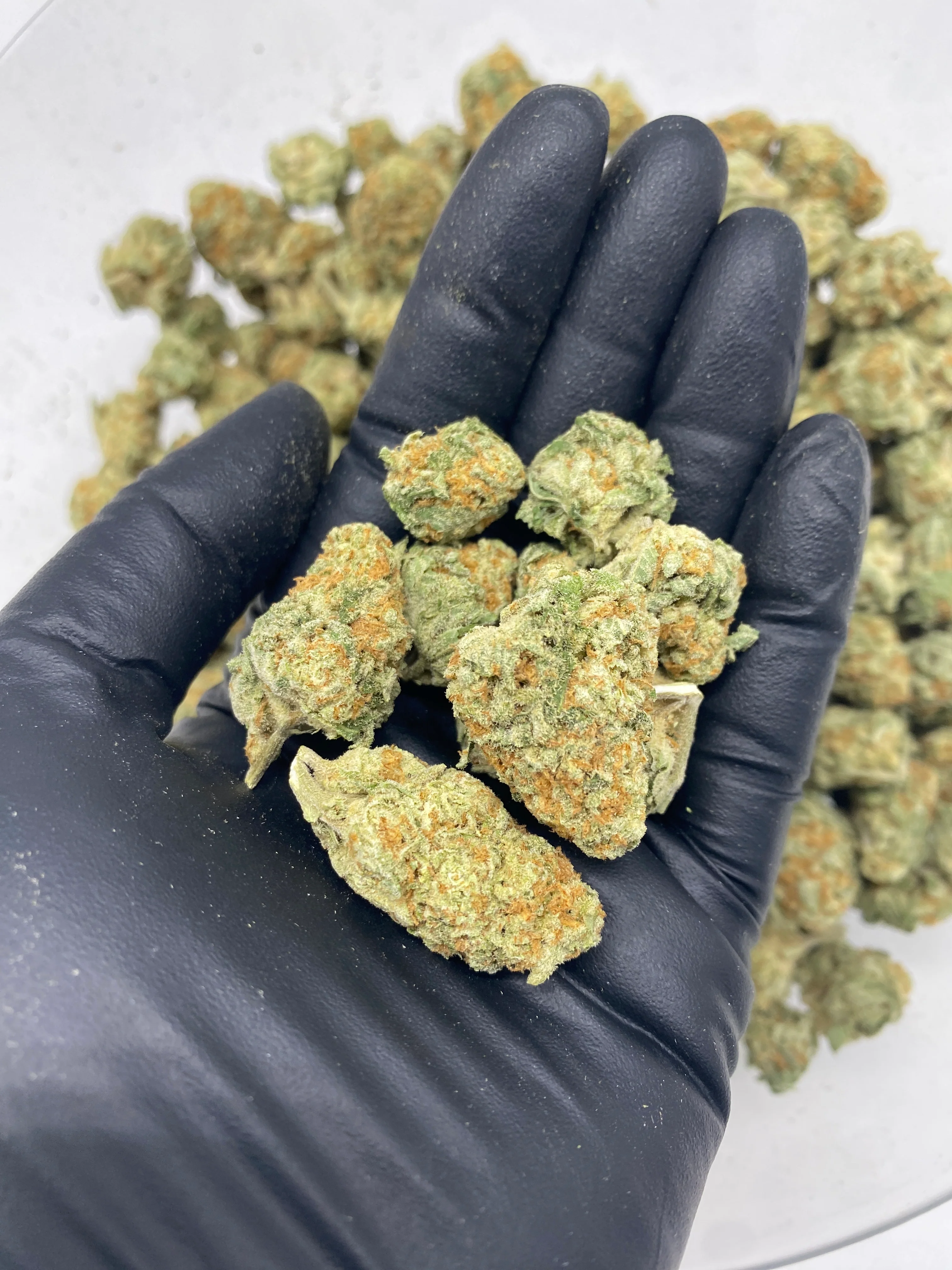 $99 Oz - Commercial Indoors - Tony Montana - Flower - Image 2