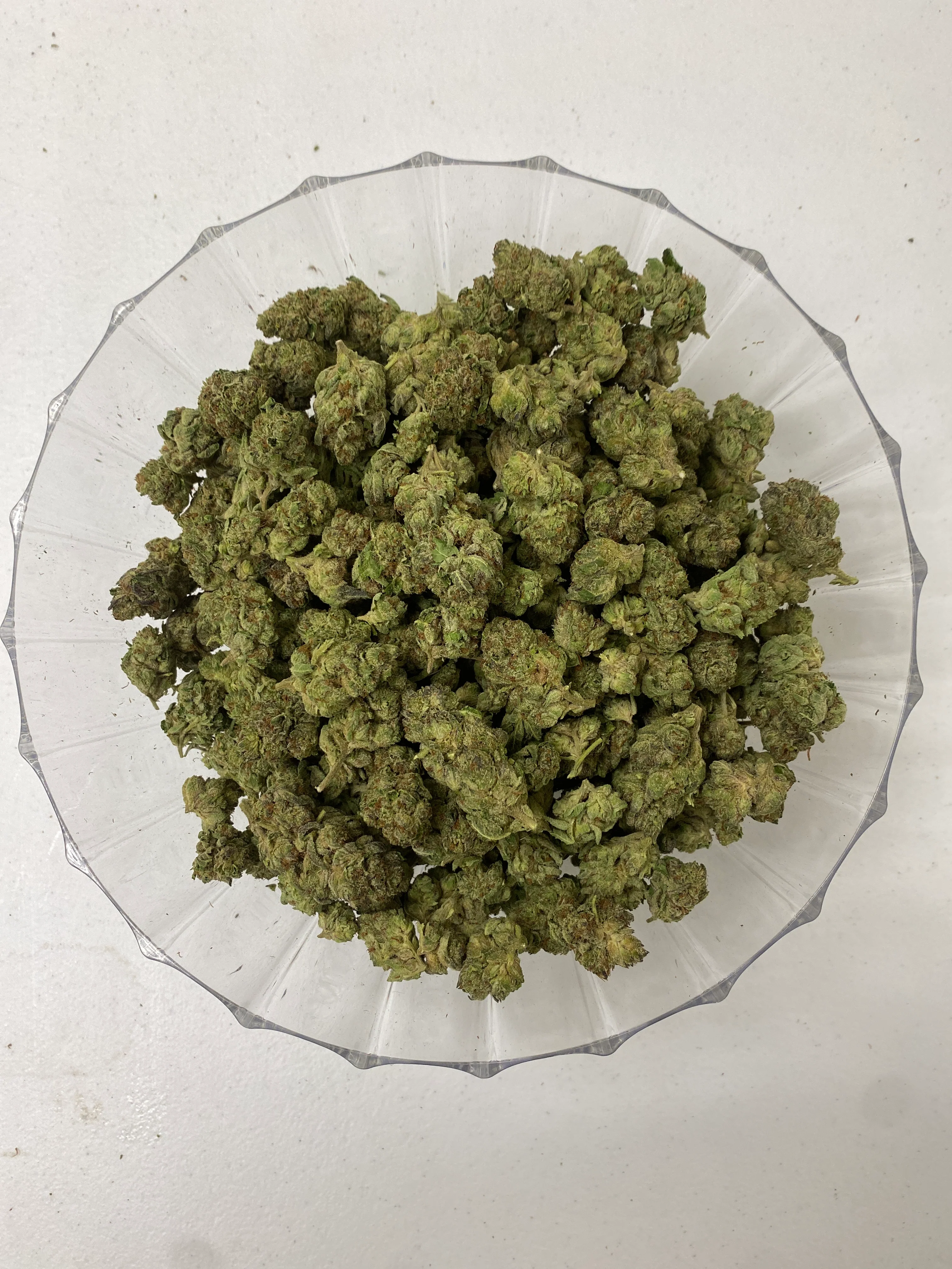 $99 Oz - Indoor Flower - Biscotti (Indica Hybrid) - Image 2