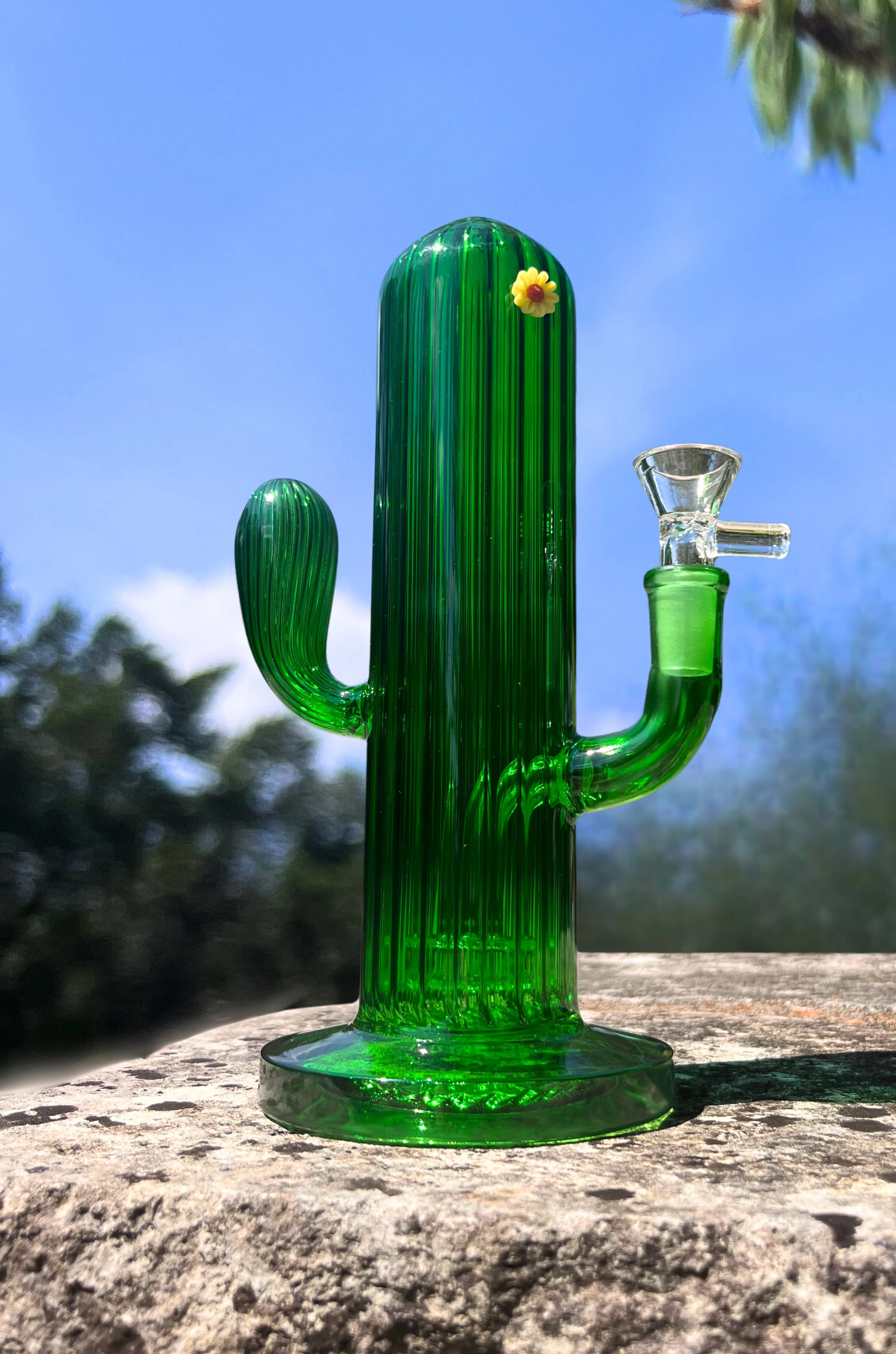 Cactus Bong