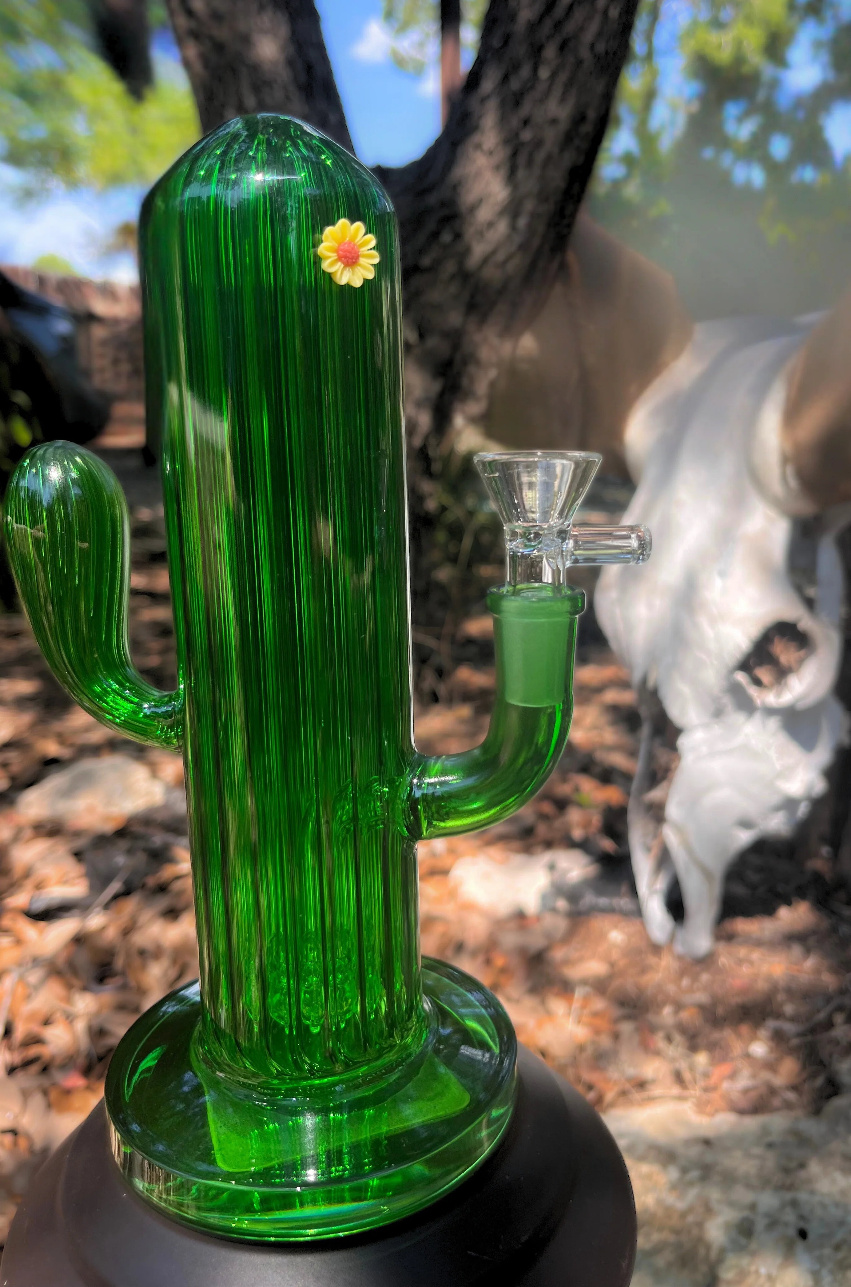 Cactus Bong - Image 2