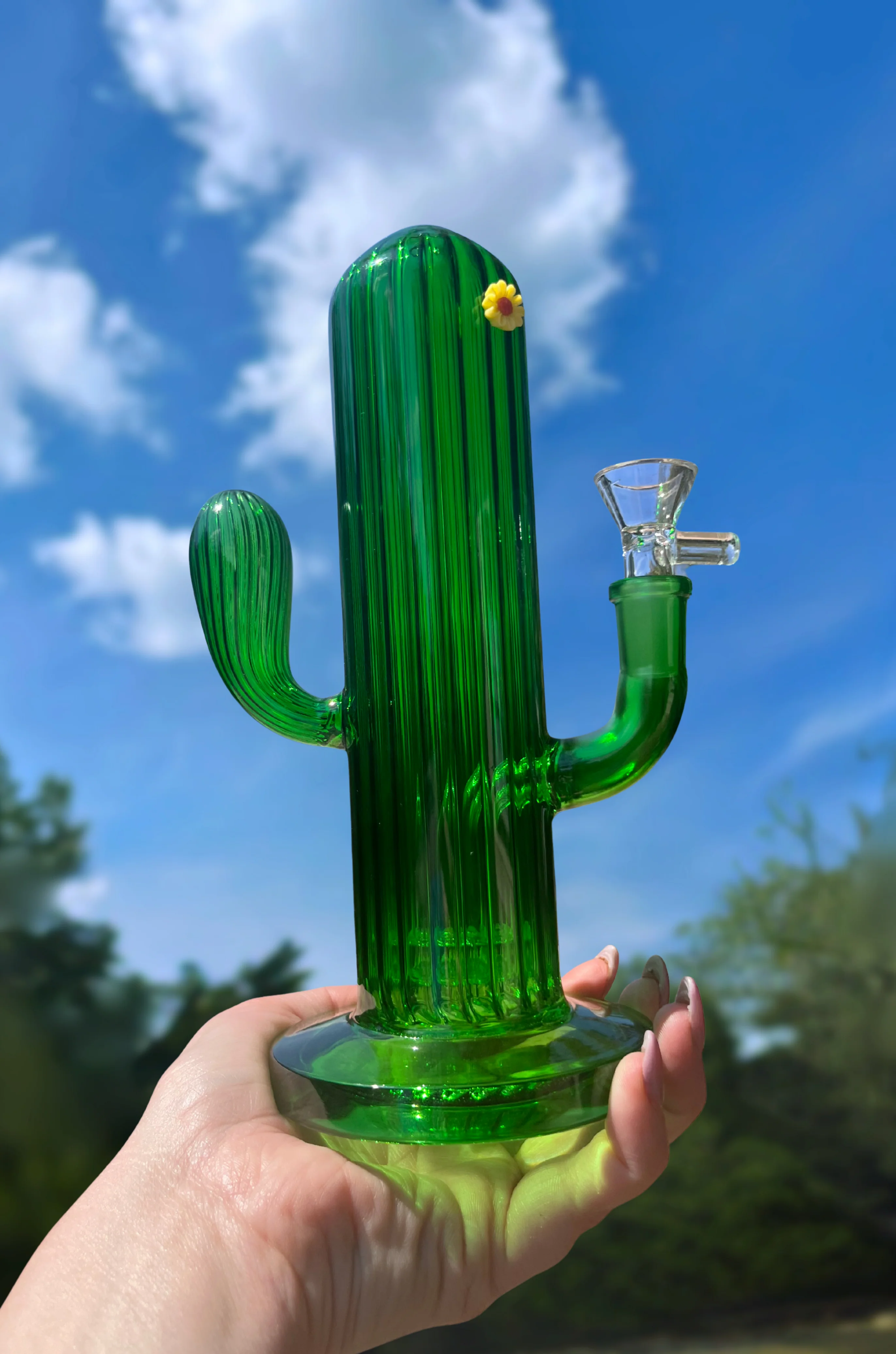 Cactus Bong - Image 3