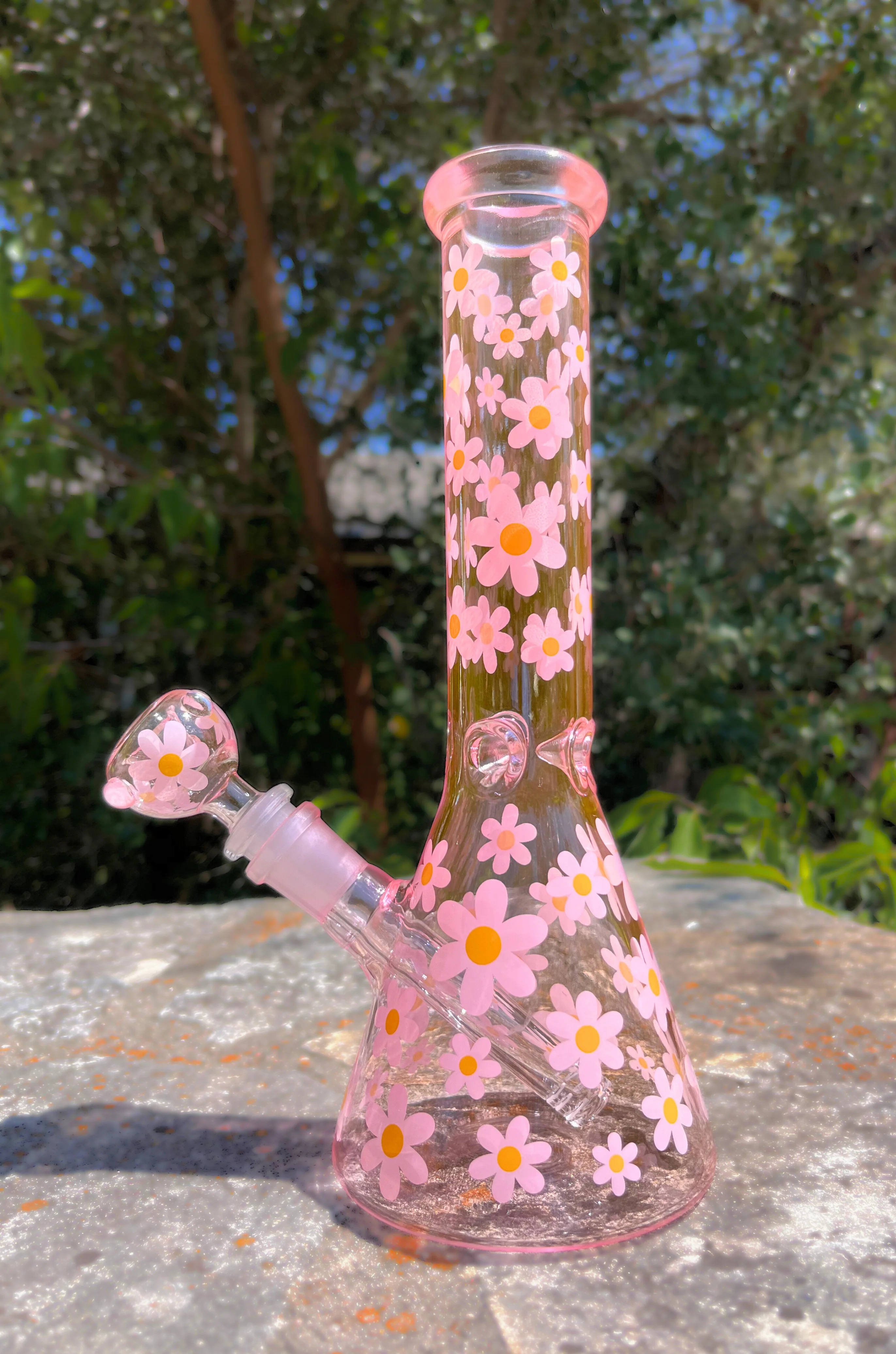 Daisy Bong - Image 2