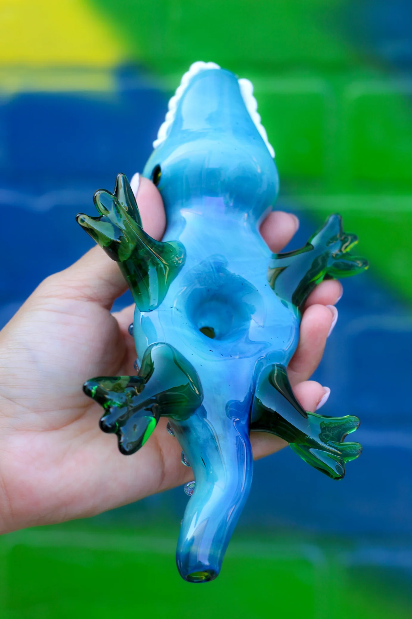 Gator Glass - Image 3