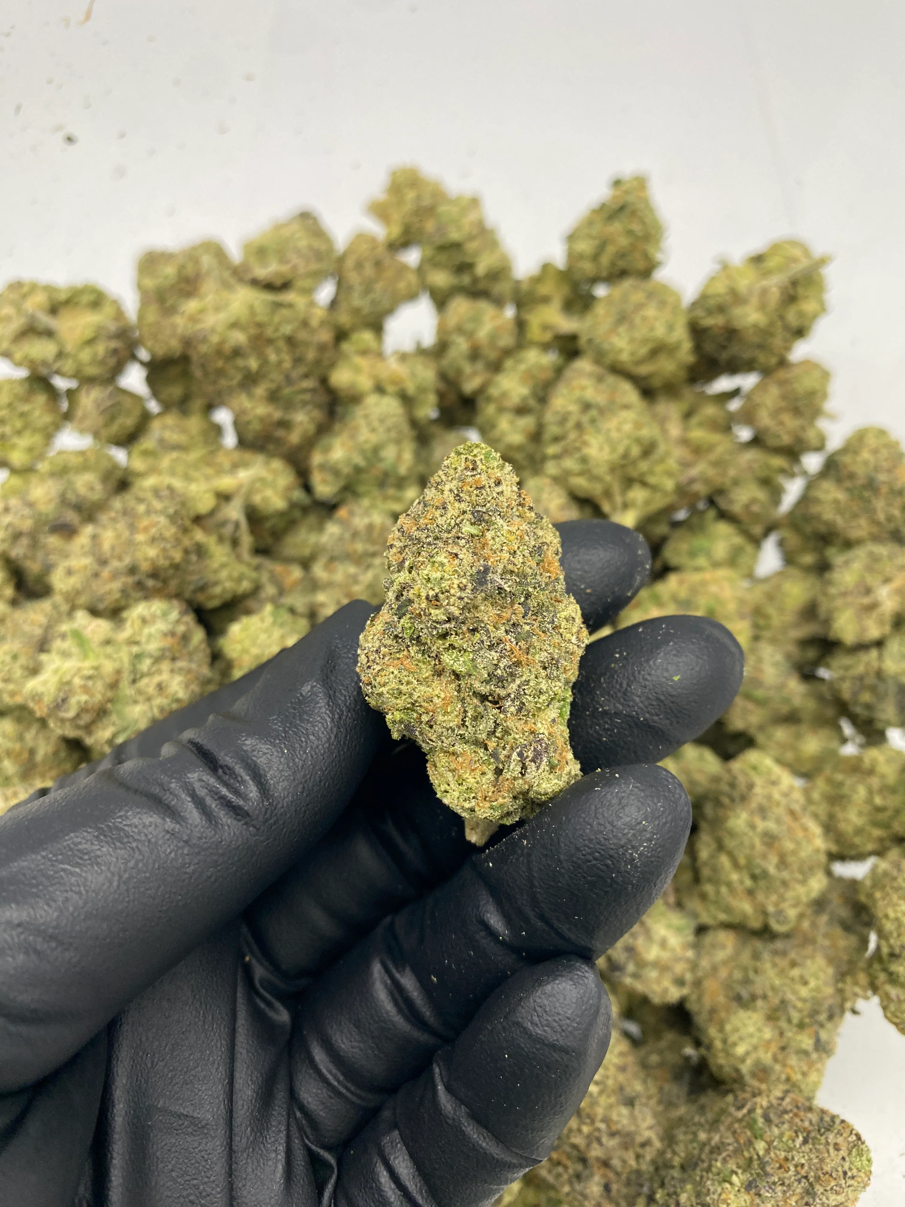 Indoor Exotics - Alien Spacecraft - Flower - Image 2