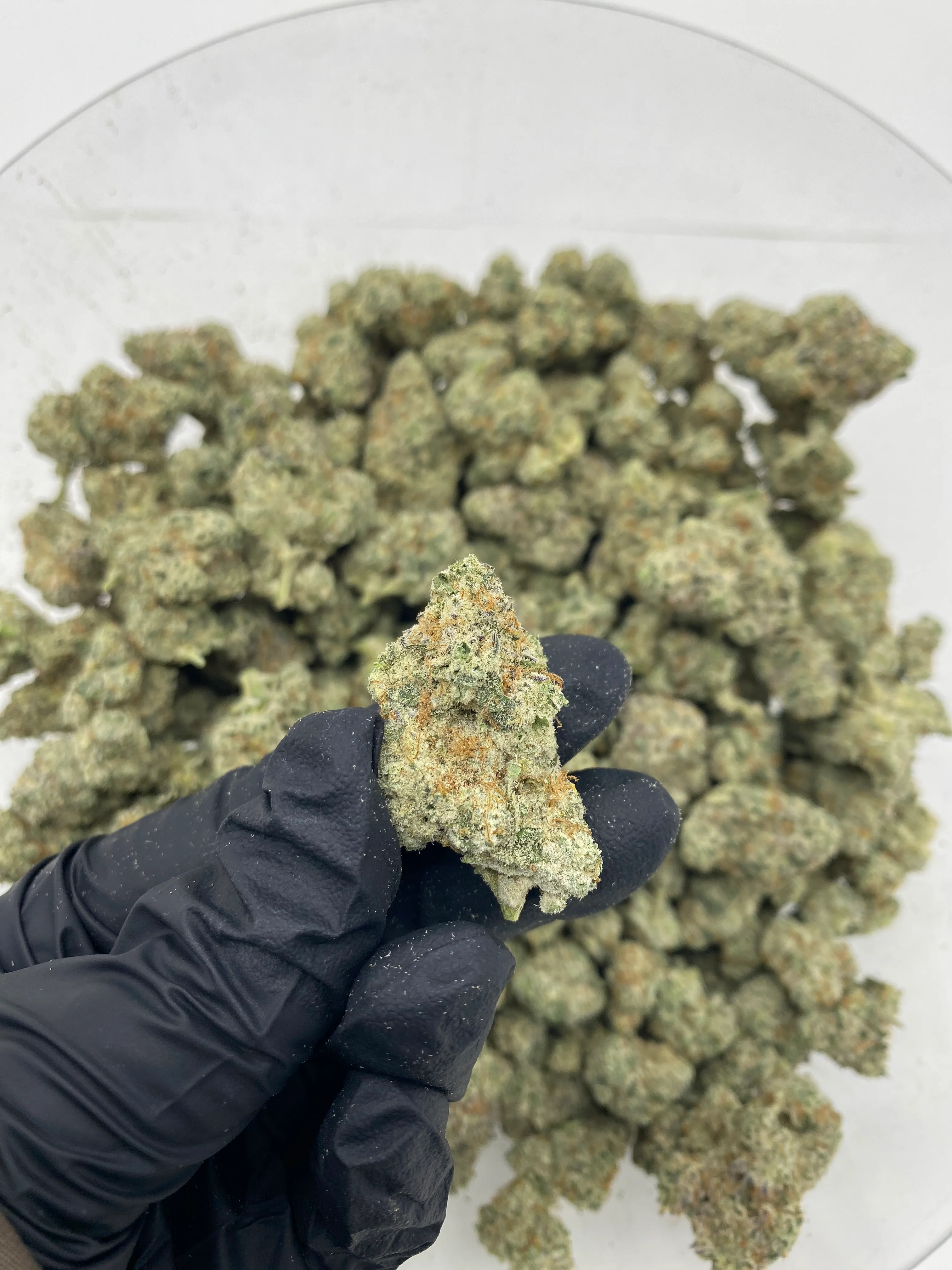 Indoor Exotics - Black Ice - Flower - Image 2