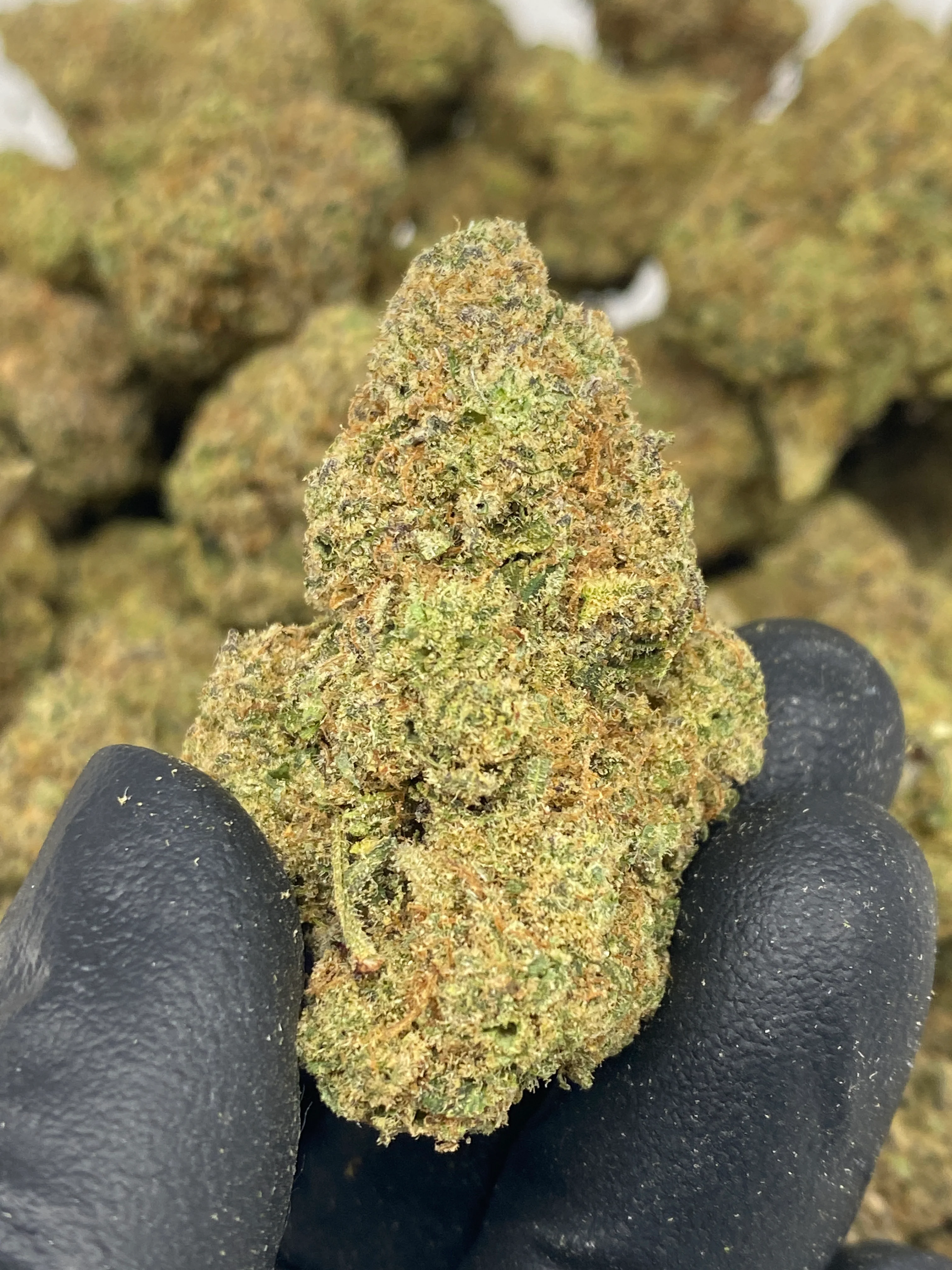 Indoor Exotics - Cali Burger - Flower