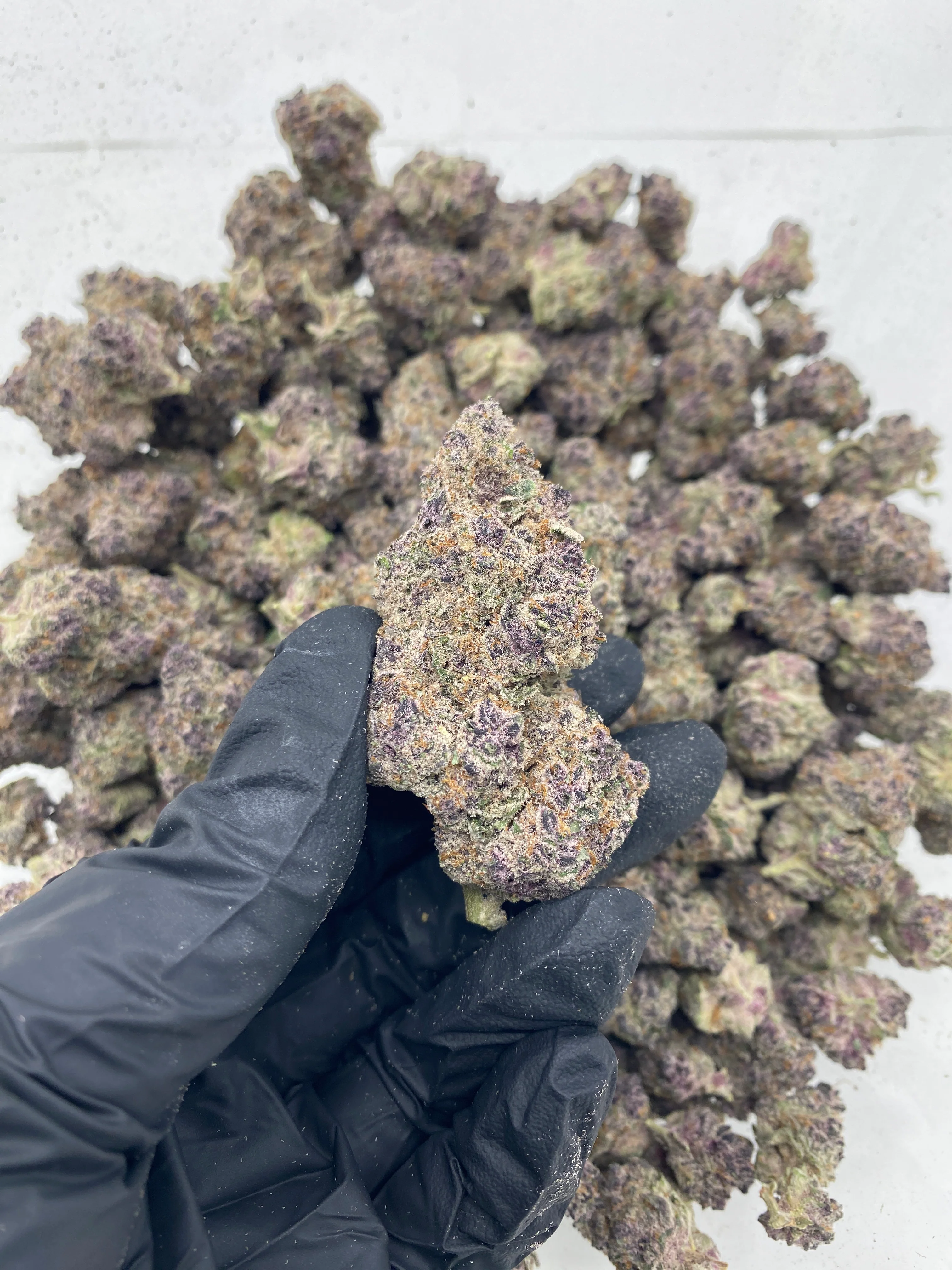 Indoor Exotics - Super Boof Cherry - Flower - Image 2