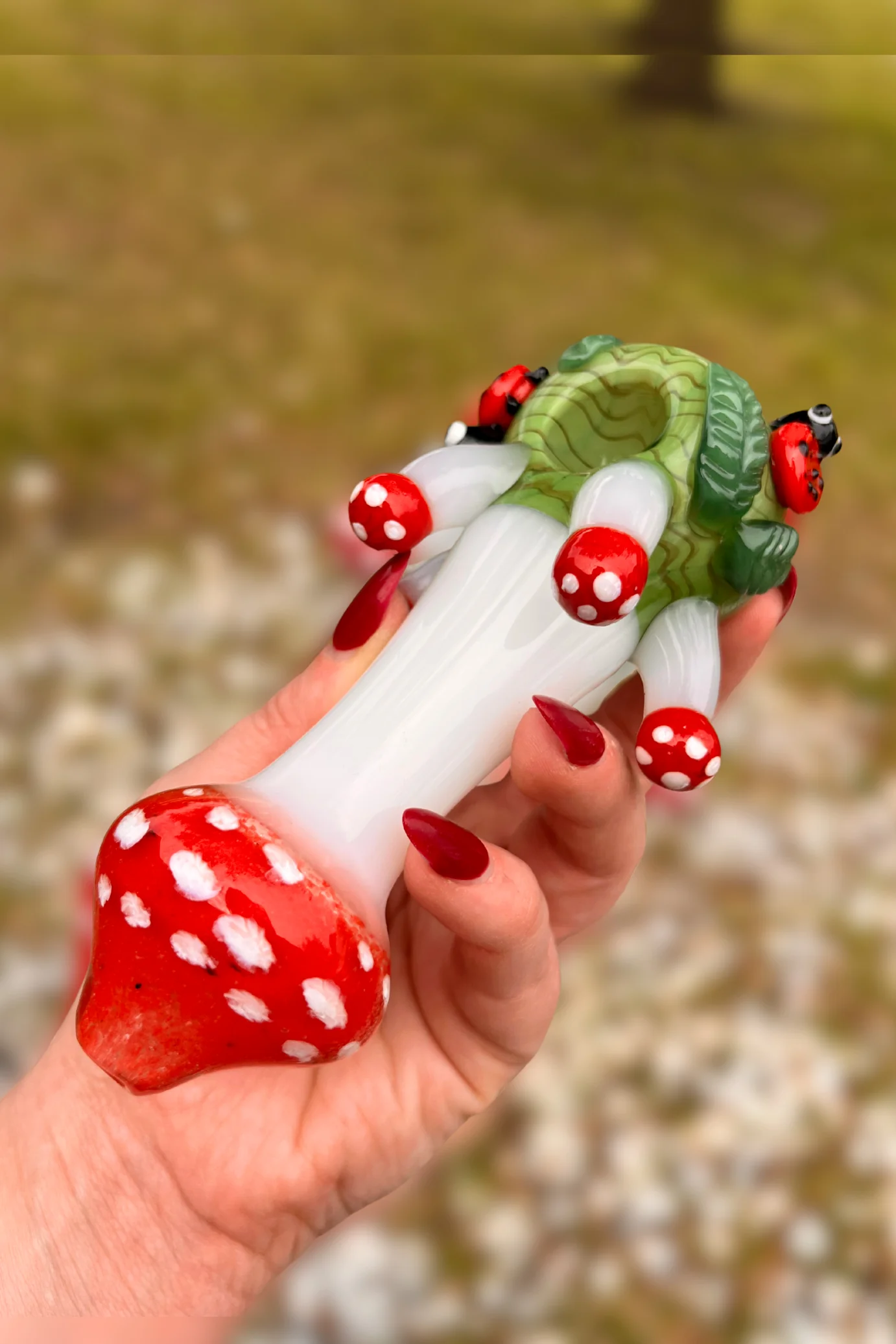 Ladybug Lane - Image 2