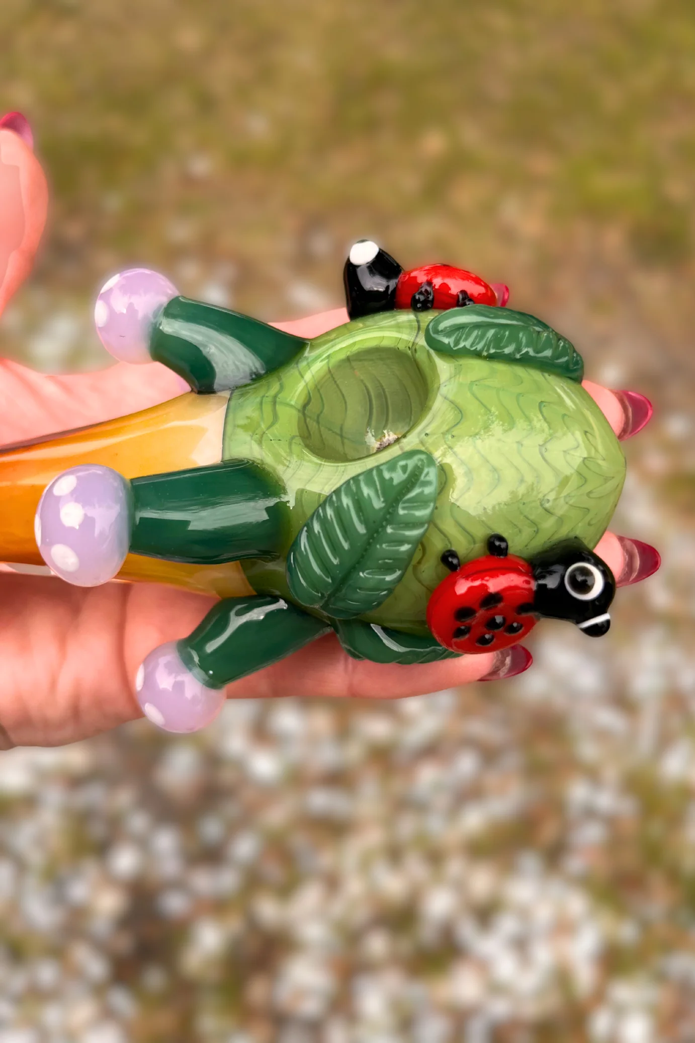 Ladybug Lane - Image 4
