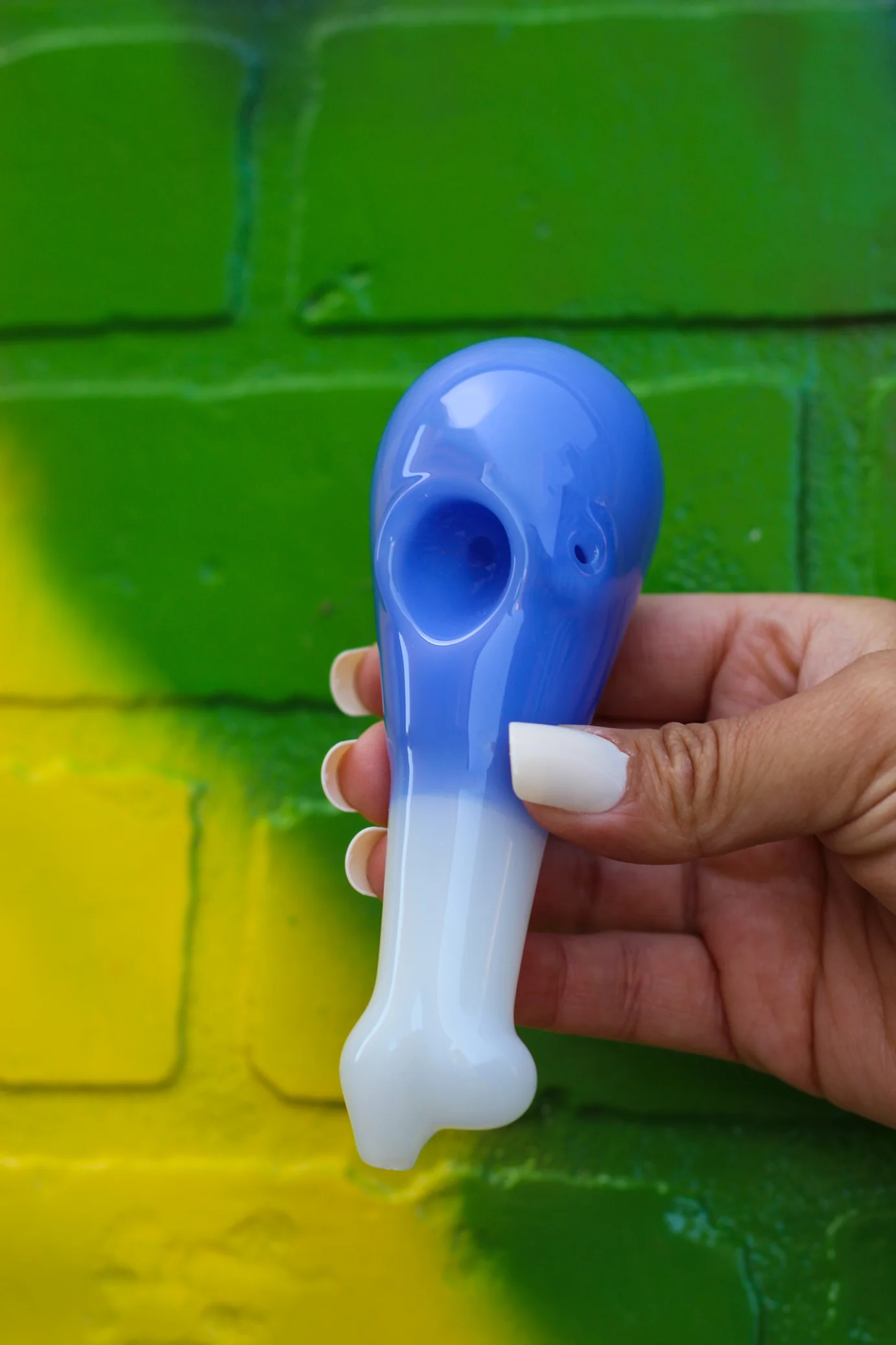Turkey Leg